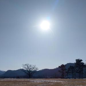 끝난자리 # 혹사