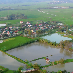 Nam Đàn Nỗi Nhớ Niềm Thương