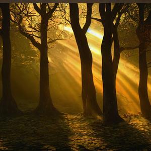 The Fruits Of Summer