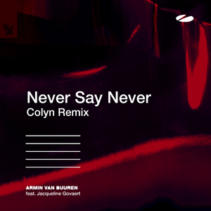 Never Say Never (Colyn Extended Remix)