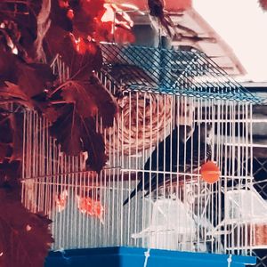 虚假的爱(Prod By Slim Dyane)