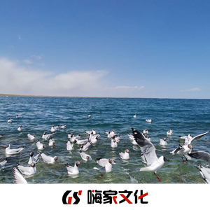 Friendships(曹文涛Remix)