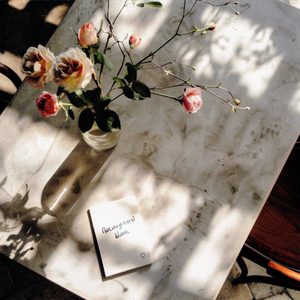 Последний шанс