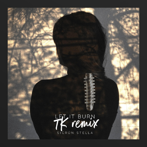Let It Burn (TK Remix)