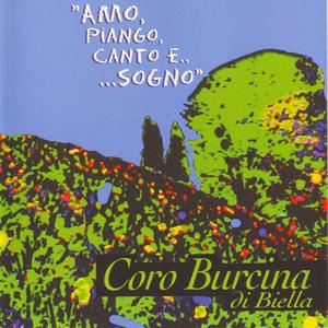 La Ballata del Soldato