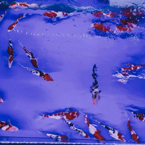 画面胶卷(Prod by Lv9)