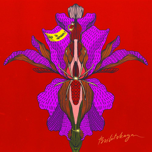 Що ти наробив?