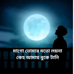 মাগো তোমার মতো লয়না কেহ আমায় বুকে টানি