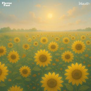 ได้พบรัก