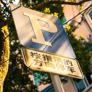 风姿少年