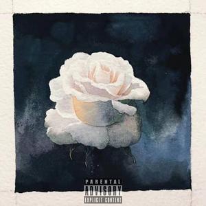 许嵩-Rose(翻自 Vae)（YC房总 / IFAVOR / Mars赵一一 / HOMY_Y / 木人七 remix）