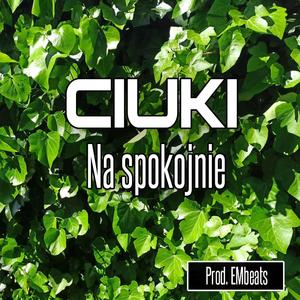 Na Spokojnie (Radio Edit)