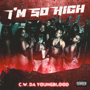 I'm So High (Radio Edit)