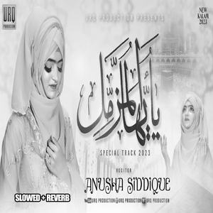 Ya Ayyuhal Muzammilu (Lofi-Mix)