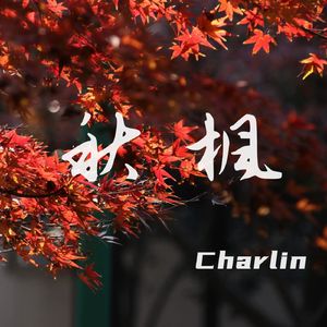 秋枫（Autumn Maple）