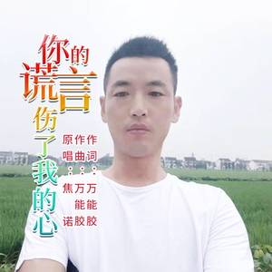 你的谎言伤了我的心