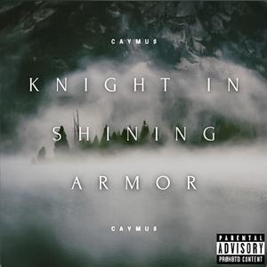 Knight In Shining Armor