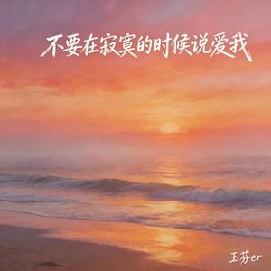 不要在寂寞的时候说爱我