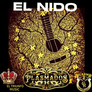 EL NIDO