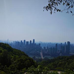潮汐未眠