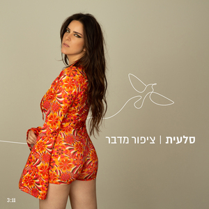 ציפור מדבר