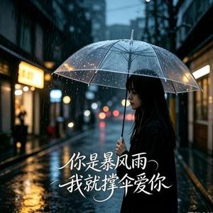 你是暴风雨我就撑伞爱你