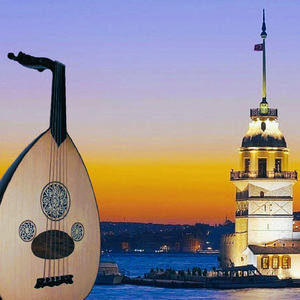 Fikrimin İnce Gülü