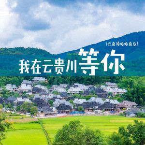 我在云贵川等你 (DJ光波版)