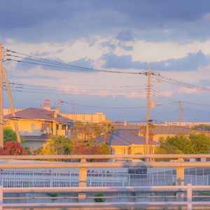 白鸽乌鸦相爱的戏码（纯音乐）