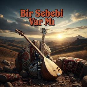 Bir Sebebi Var Mı(Modern Türkü)