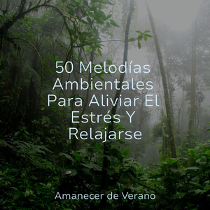 Ecos Dentro de las Copas de los Árboles