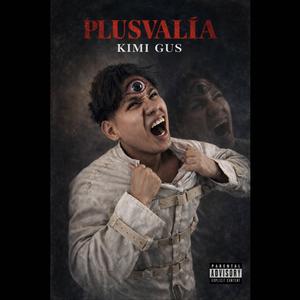 Plusvalía