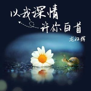 以我深情许你白首 (伴奏)