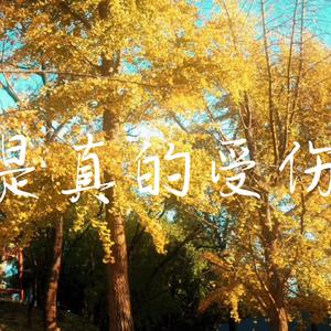 我是真的受伤了