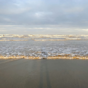 感情 的阴晴之间