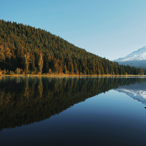 Lakeside Dreams