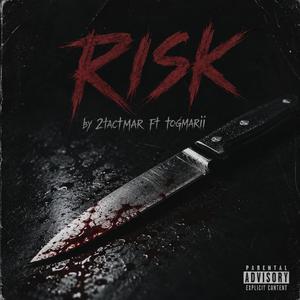 Risk (feat. togmarii)