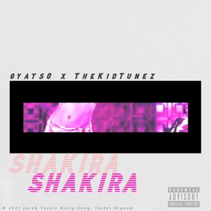 Shakira (feat. Gyats0)