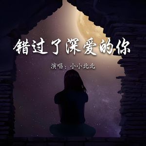 错过了深爱的你