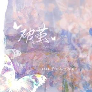 《化茧成诗》——「2022 许向安生贺曲」