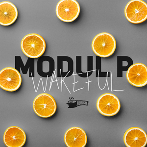 Wakeful (Original Mix)