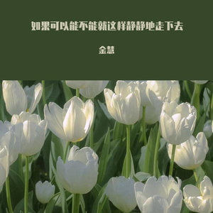 如果可以能不能就这样静静地走下去
