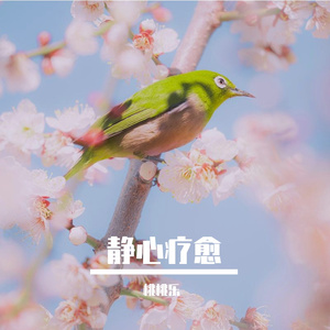 迷雾森林（纯音乐）