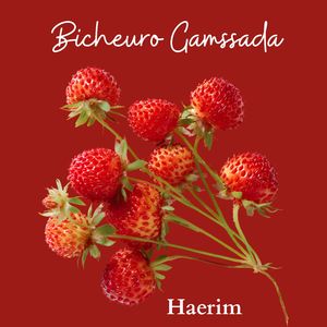 Bicheuro Gamssada