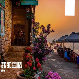 迟来的爱_情系一生