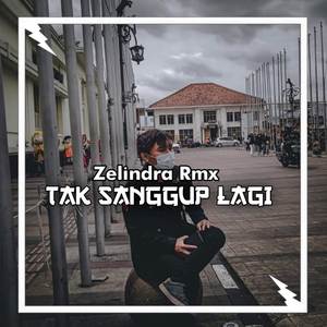 Tak Sanggup Lagi (Remix)