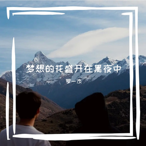 梦想的花盛开在黑夜中