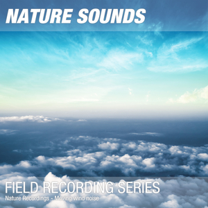 Nature Sounds for Relaxation & Deep Meditation (Calming wind noise) 09
