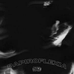 PAPIROFLEXIA
