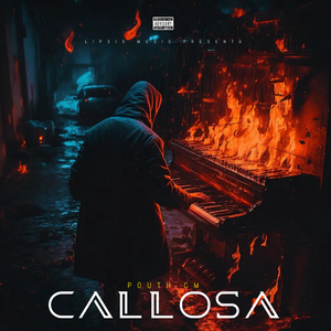 Callosa